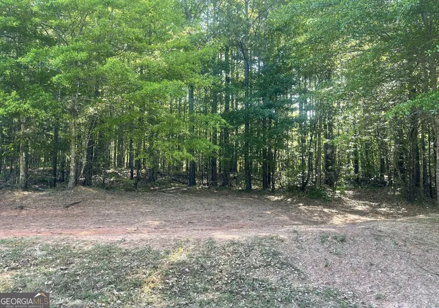 3rd image of 0 Fincher Rd, Covington, GA 30016 | MLS# 10734265