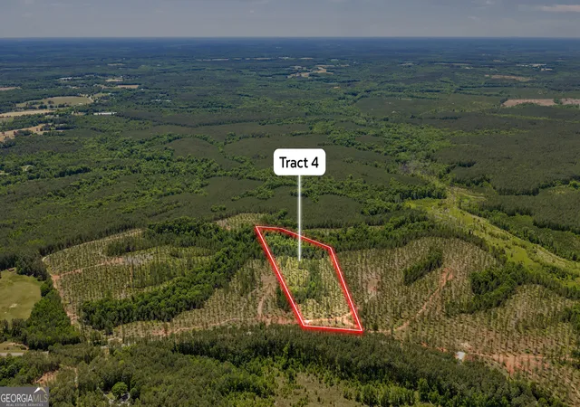 Homes for sale in Lexington, GA | 4 Lexington Estates   Hwy 22, Lexington, GA 30648 | MLS# 10794311