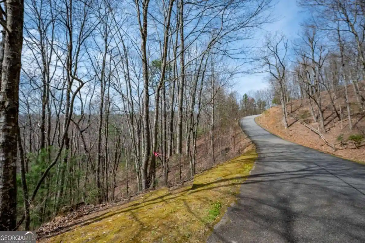 Photo 1 of Land for sale at Lot 7 Oceola Dr, Ellijay, GA 30540 | MLS# 10855931 | Listing updated on 2026-10-14