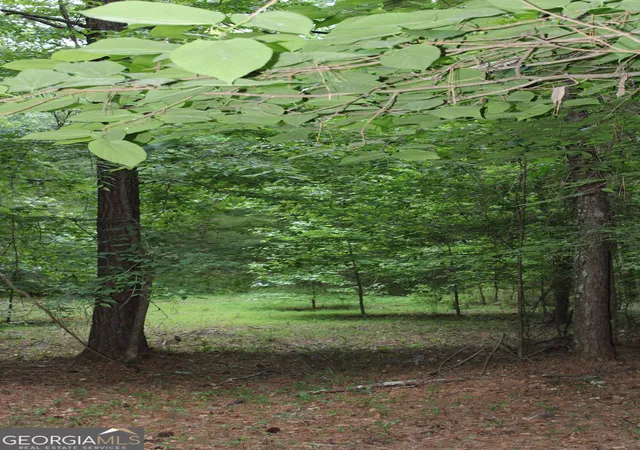 3rd image of 2 Mount Moriah Rd, Auburn, GA 30011 | MLS# 10769692