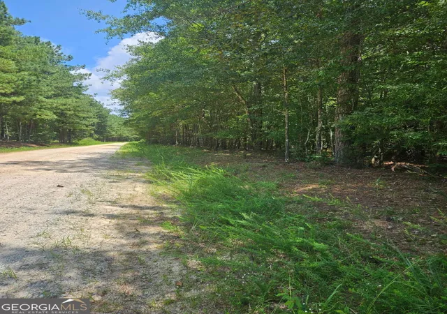 Photo 1 of Land for sale at 292 Mccannon Rd Tract 3a #TRACT 3A, Carlton, GA 30627 | MLS# 10813286 | Listing updated on 2026-09-08