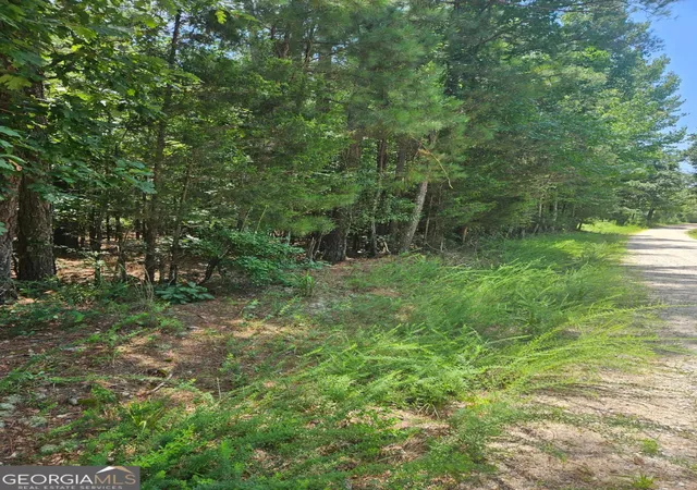 Photo 2 of Land for sale at 292 Mccannon Rd Tract 3a #TRACT 3A, Carlton, GA 30627 | MLS# 10813286 | Listing updated on 2026-09-08