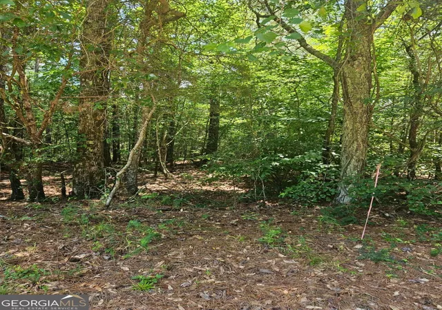 Photo 2 of Land for sale at 292 Mccannon Rd Tract 3a #TRACT 3A, Carlton, GA 30627 | MLS# 10813286 | Listing updated on 2026-09-08