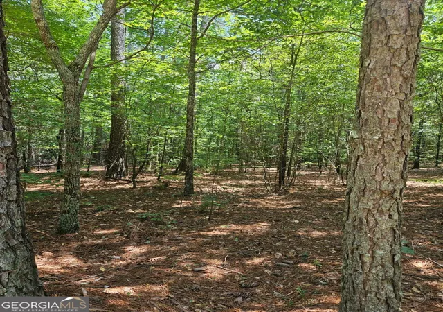 Photo 3 of Land for sale at 292 Mccannon Rd Tract 3a #TRACT 3A, Carlton, GA 30627 | MLS# 10813286 | Listing updated on 2026-09-08