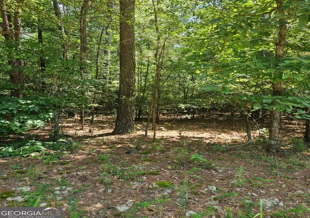 Photo 4 of Land for sale at 292 Mccannon Rd Tract 3a #TRACT 3A, Carlton, GA 30627 | MLS# 10813286 | Listing updated on 2026-09-08
