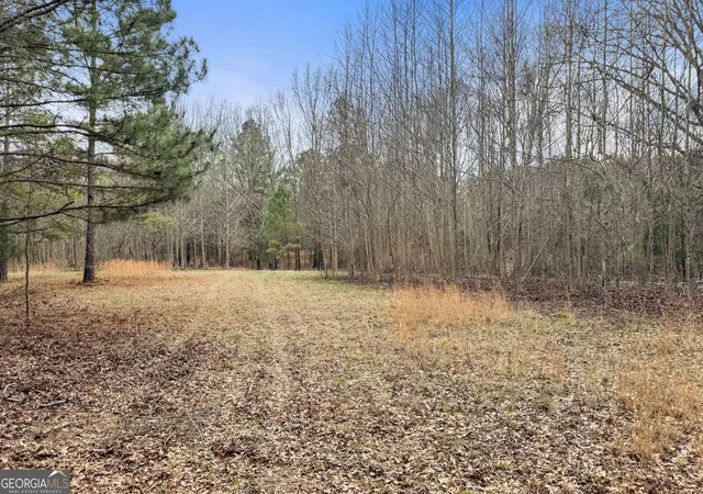 Homes for sale in Meansville, GA | 3461 Acres Walker Rd, Meansville, GA 30256 | MLS# 10794124