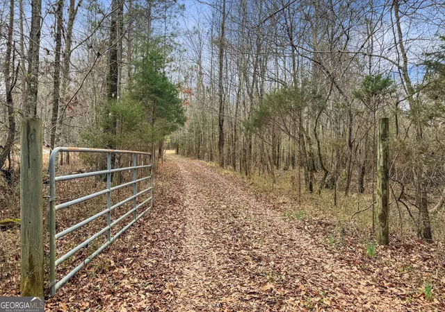 Homes for sale in Meansville, GA | 3461 Acres Walker Rd, Meansville, GA 30256 | MLS# 10794124