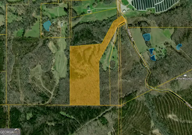 Homes for sale in Meansville, GA | 3461 Acres Walker Rd, Meansville, GA 30256 | MLS# 10794124