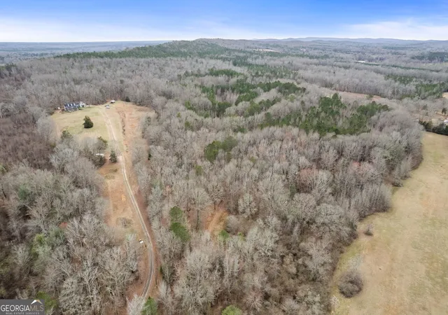 Homes for sale in Meansville, GA | 3461 Acres Walker Rd, Meansville, GA 30256 | MLS# 10794124