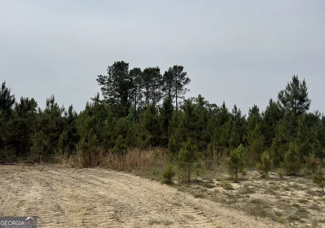 12th image of 16 Graham Ln, Cadwell, GA 31009 | MLS# 10777799