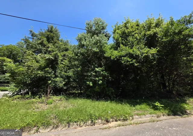 Photo 3 of Single family home for sale at 736 Peachtree St, Macon, GA 31217 | MLS# 10808360 | Listing updated on 2026-08-23