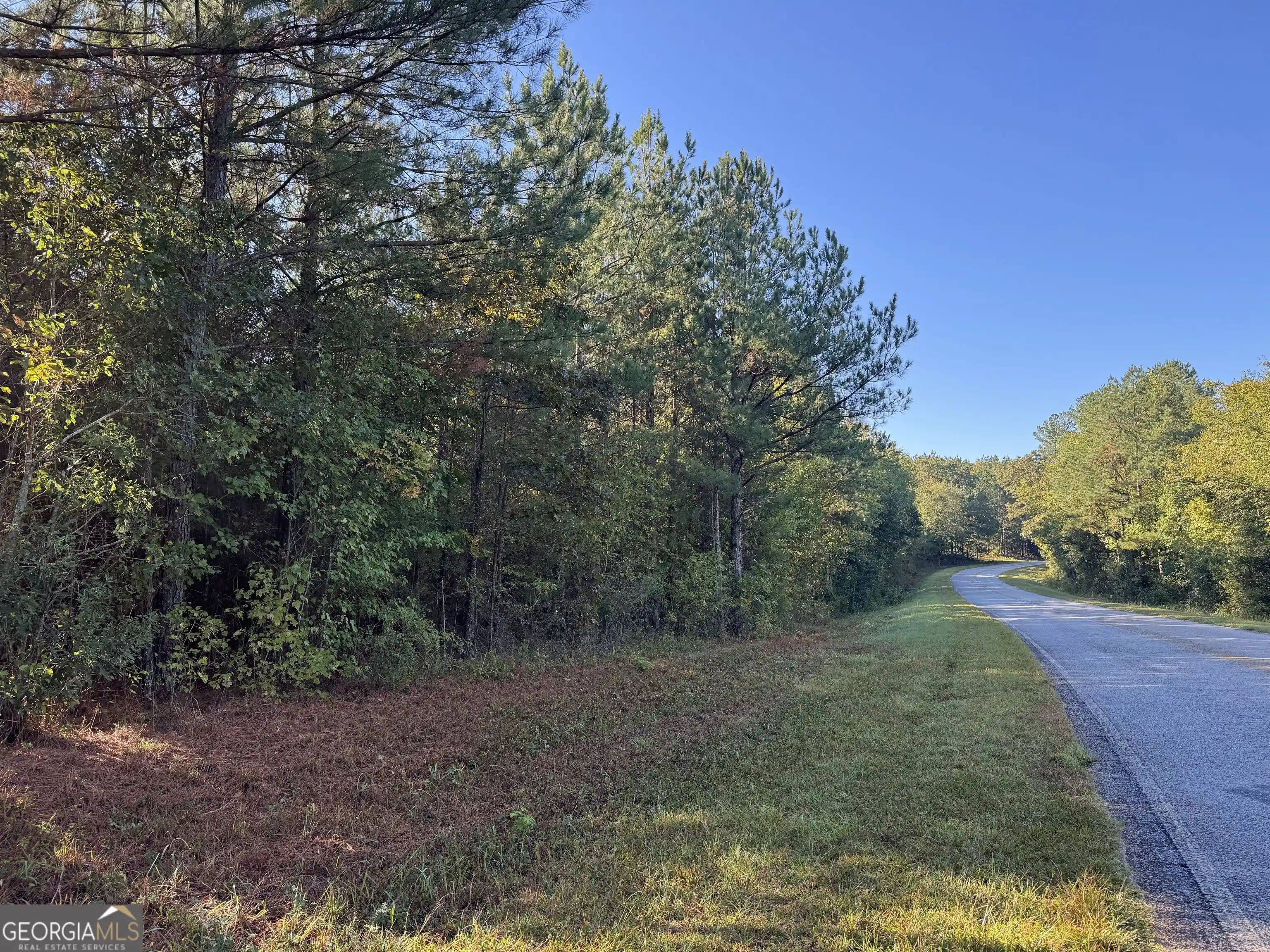 Photo 1 of Land for sale at Tract 11 Butler Rd, Franklin, GA 30217 | MLS# 10875425 | Listing updated on 2026-10-19