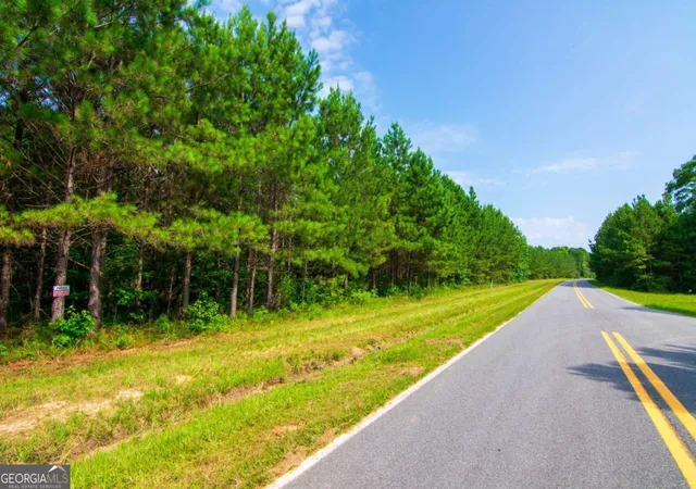 Homes for sale in Waverly Hall, GA | 0 County Road 0071, Waverly Hall, GA 31831 | MLS# 10796905