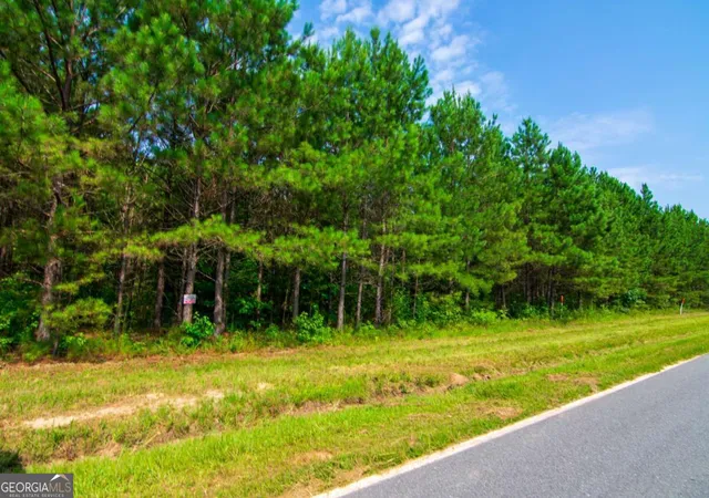 Homes for sale in Waverly Hall, GA | 0 County Road 0071, Waverly Hall, GA 31831 | MLS# 10796905