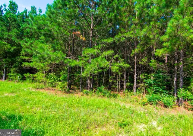 Homes for sale in Waverly Hall, GA | 0 County Road 0071, Waverly Hall, GA 31831 | MLS# 10796905