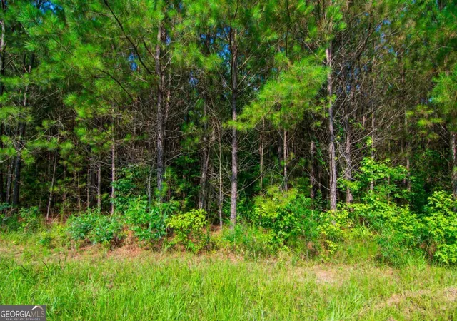 Homes for sale in Waverly Hall, GA | 0 County Road 0071, Waverly Hall, GA 31831 | MLS# 10796905