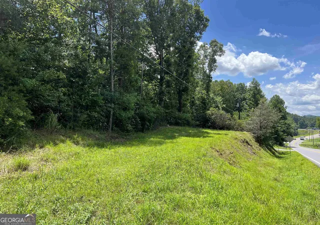 2nd image of 0 W Kytle St, Cleveland, GA 30528 | MLS# 10817657
