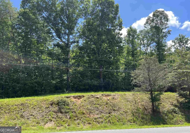 4th image of 0 W Kytle St, Cleveland, GA 30528 | MLS# 10817657