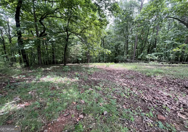 Photo 4 of Land for sale at 0 White Stone Dr, Cleveland, GA 30528 | MLS# 10804695 | Listing updated on 2026-10-09