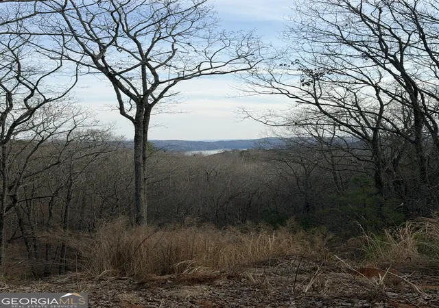 Land for sale at 439 Buck Crk Rd, Ellijay, GA 30540 | MLS# 10701320 | Listing updated on 2026-03-16