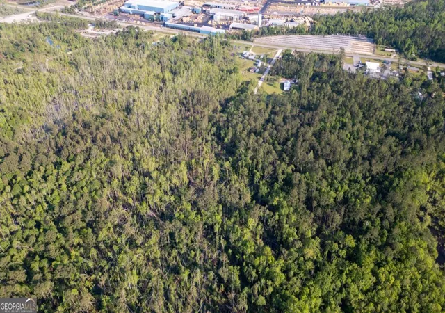 Photo 2 of Land for sale at 0 Walter Phillips Rd, Hazlehurst, GA 31539 | MLS# 10818464 | Listing updated on 2026-08-17