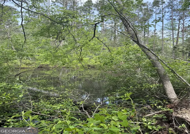 Photo 4 of Land for sale at 0 Walter Phillips Rd, Hazlehurst, GA 31539 | MLS# 10818464 | Listing updated on 2026-08-17