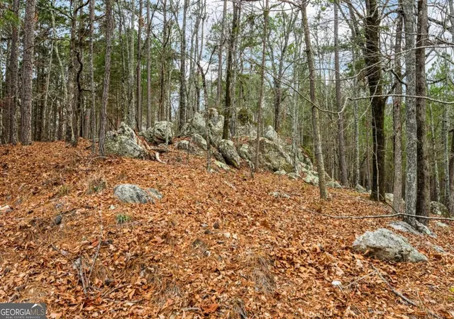 Photo 1 of Land for sale at 251 Winding River Rd, Eatonton, GA 31024 | MLS# 10678898 | Listing updated on 2026-07-04