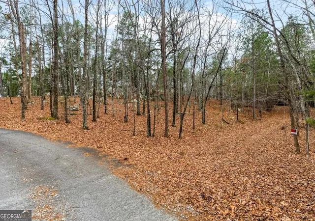 Photo 2 of Land for sale at 251 Winding River Rd, Eatonton, GA 31024 | MLS# 10678898 | Listing updated on 2026-07-04