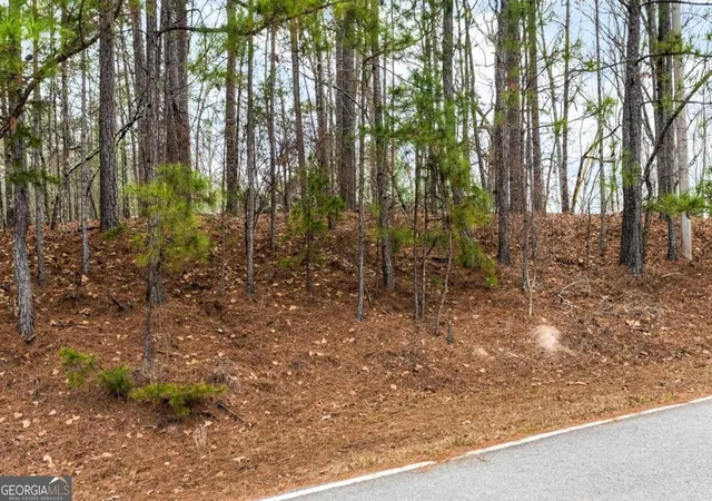 Photo 3 of Land for sale at 251 Winding River Rd, Eatonton, GA 31024 | MLS# 10678898 | Listing updated on 2026-07-04