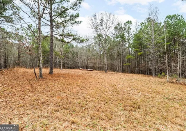 Photo 4 of Land for sale at 251 Winding River Rd, Eatonton, GA 31024 | MLS# 10678898 | Listing updated on 2026-07-04
