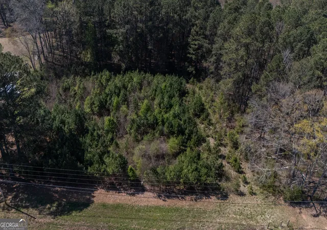 3rd image of 0 East Of Burch Rd, Fayetteville, GA 30215 | MLS# 10713356