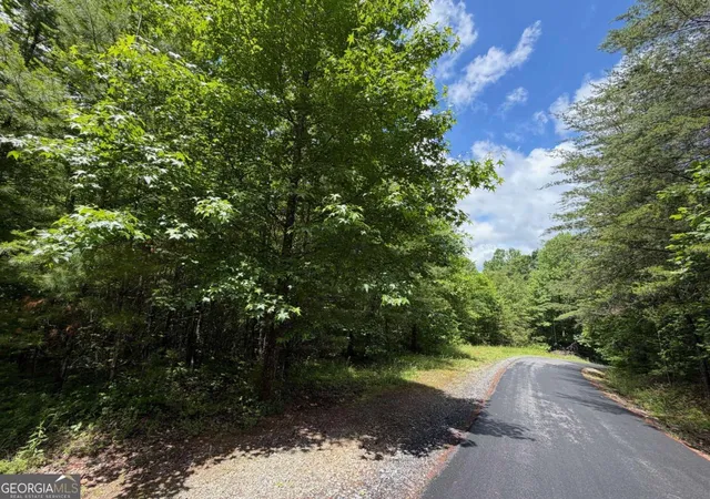 Homes for sale in Epworth, GA | 275ac Quail Ridge Rd, Epworth, GA 30541 | MLS# 10784398