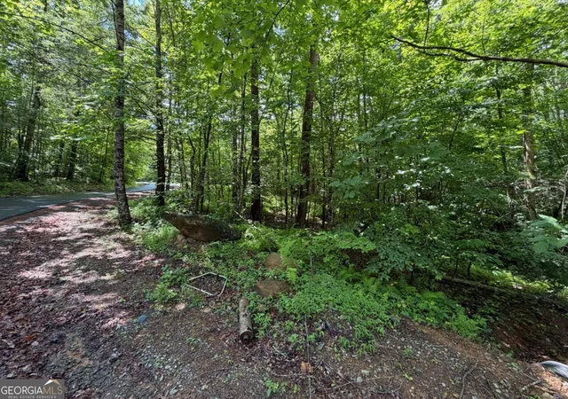 Homes for sale in Epworth, GA | 275ac Quail Ridge Rd, Epworth, GA 30541 | MLS# 10784398