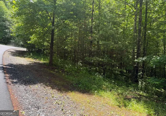 4th image of 275Ac Quail Ridge Rd, Epworth, GA 30541 | MLS# 10784398