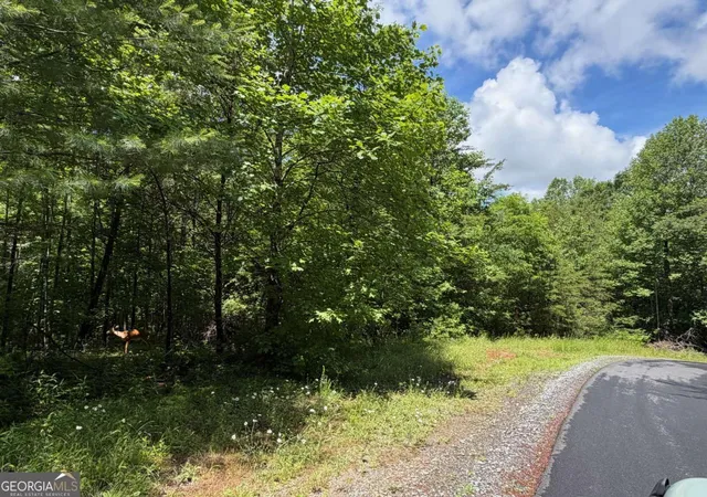 5th image of 275Ac Quail Ridge Rd, Epworth, GA 30541 | MLS# 10784398