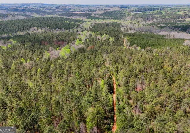 12th image of 0 Cross Plains Hulett, Carrollton, GA 30116 | MLS# 10797757