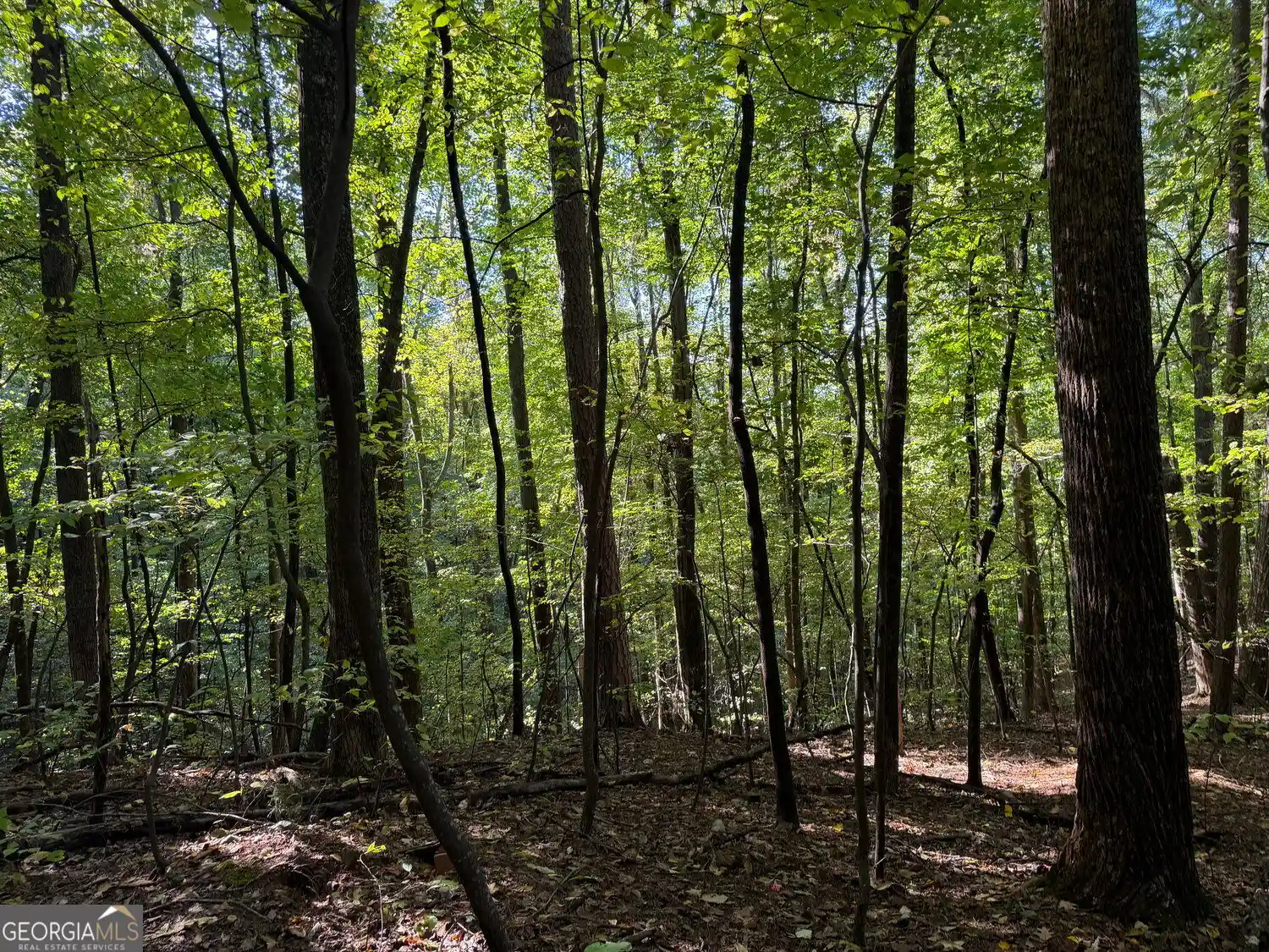 Photo 1 of Land for sale at 0 Mountain View Ct #J349-350, Ellijay, GA 30536 | MLS# 10868193 | Listing updated on 2026-10-20