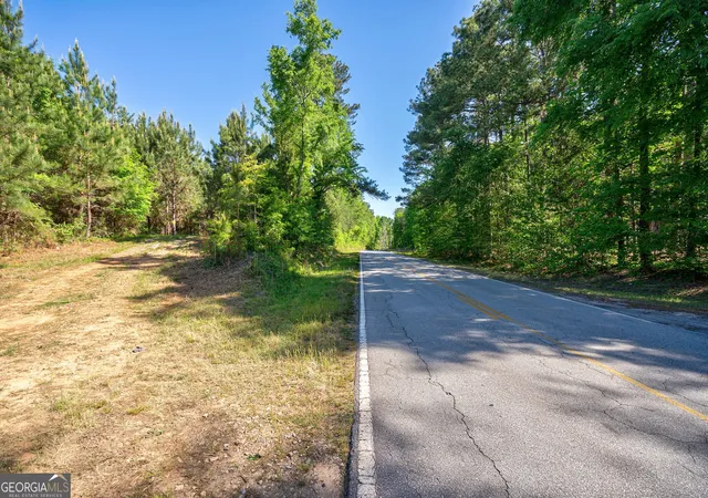 Photo 3 of Land for sale at 0 Brewer's Brg Rd, Elberton, GA 30635 | MLS# 10742394 | Listing updated on 2026-05-12