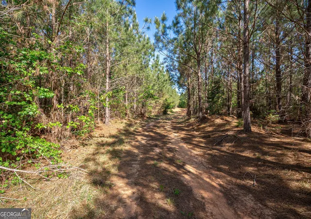 Photo 3 of Land for sale at 0 Brewer's Brg Rd, Elberton, GA 30635 | MLS# 10742394 | Listing updated on 2026-05-12