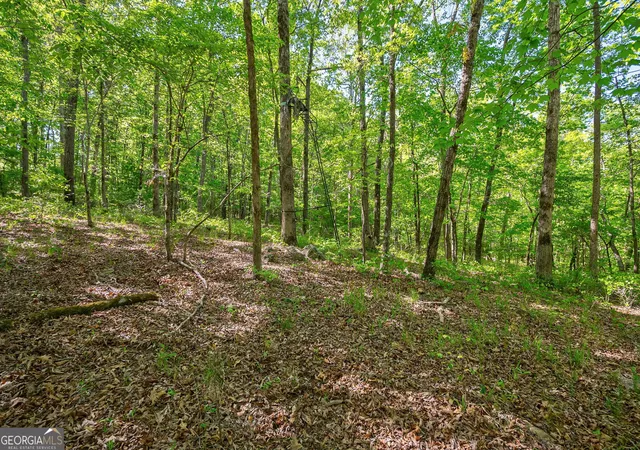 Photo 4 of Land for sale at 0 Brewer's Brg Rd, Elberton, GA 30635 | MLS# 10742394 | Listing updated on 2026-05-12