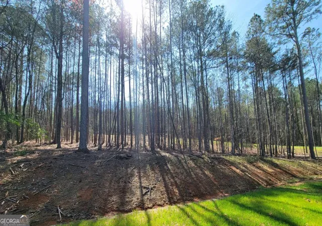 Photo 23 of Land for sale at 277 Mountaingate Way, Ellijay, GA 30536 | MLS# 10738911 | Listing updated on 2026-05-06
