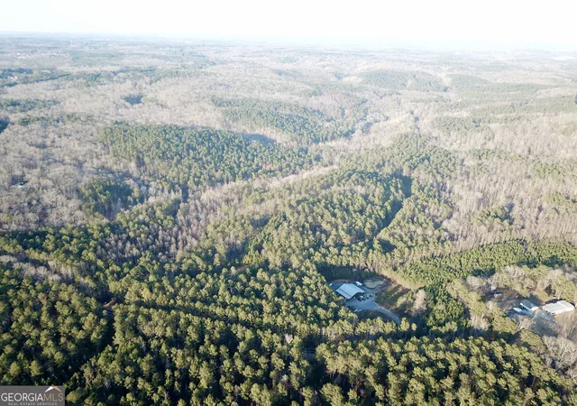 Photo 3 of Land for sale at 0   Tract 4 Mt Zion Church Rd, Whitesburg, GA 30185 | MLS# 10824064 | Listing updated on 2026-08-26