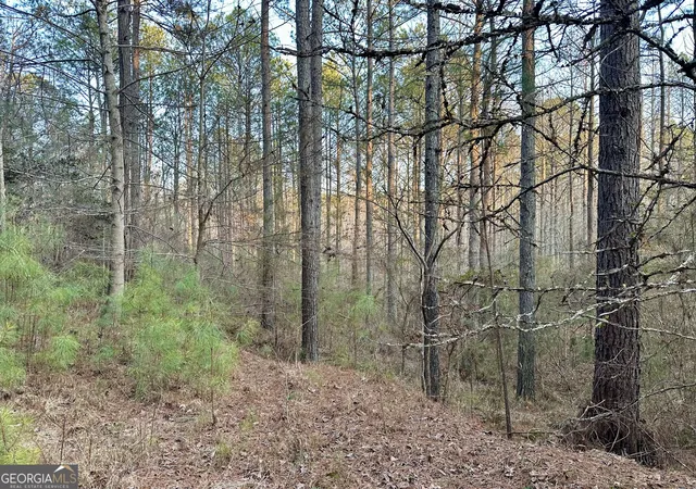 Photo 7 of Land for sale at 0   Tract 4 Mt Zion Church Rd, Whitesburg, GA 30185 | MLS# 10824064 | Listing updated on 2026-08-26