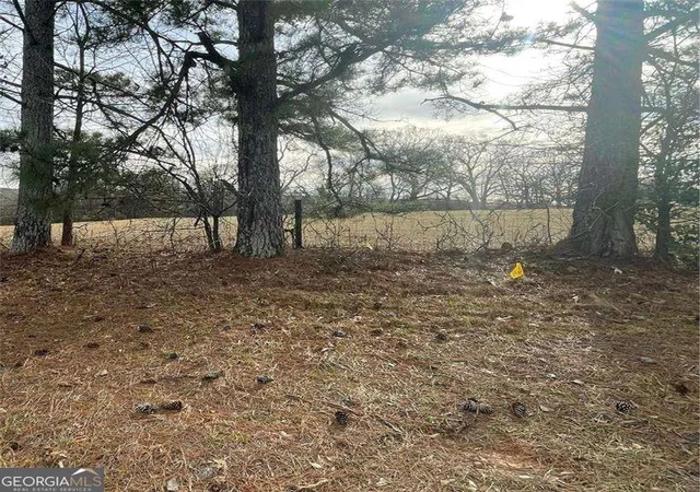 Photo 1 of Sale Pending at 0 Hwy 29 Sou, Lawrenceville, GA 30045 | MLS# 10576285 | Listing updated on 2026-08-03