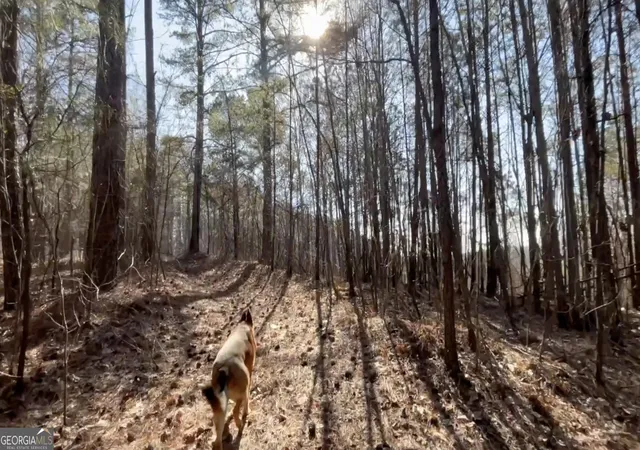 Photo 1 of Land for sale at 2 W Dry Pond Rd #LOT 2 WEST, Ranger, GA 30734 | MLS# 10707610 | Listing updated on 2026-07-29