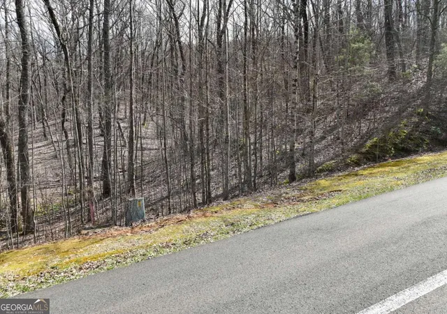 Photo 1 of Land for sale at 65 St Andrews Way, Ellijay, GA 30540 | MLS# 10787057 | Listing updated on 2026-10-27