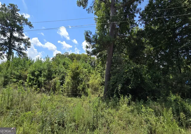 Photo 3 of Land for sale at 7161 Molton Rd, Macon, GA 31216 | MLS# 10825782 | Listing updated on 2026-09-21