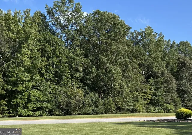 6th image of 0 Samson Wy #LOT 28 A, Cleveland, GA 30528 | MLS# 10824220