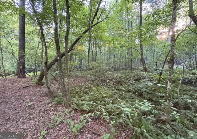 Photo 2 of Sale Pending at 442 Mt Springer Rd, Ellijay, GA 30540 | MLS# 10811077 | Listing updated on 2026-09-04