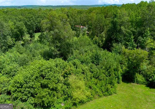 41st image of 794 County Road 447, Heflin, AL 36264 | MLS# 10812642